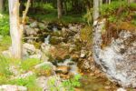 2014-07-05_Laengental-N-Hochweg (388). JPG